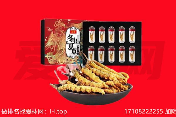 郑州市巩义回收虫草.jpg